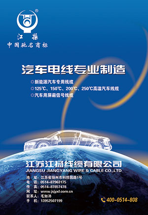 江蘇江揚線纜有限公司