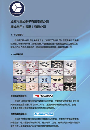 成都市康成電子有限責任公司